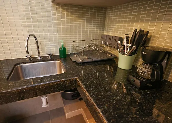 In Downtown Apartment *